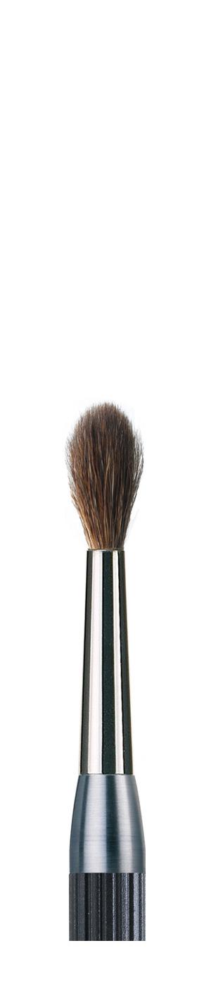 Dust Pinsel Modul