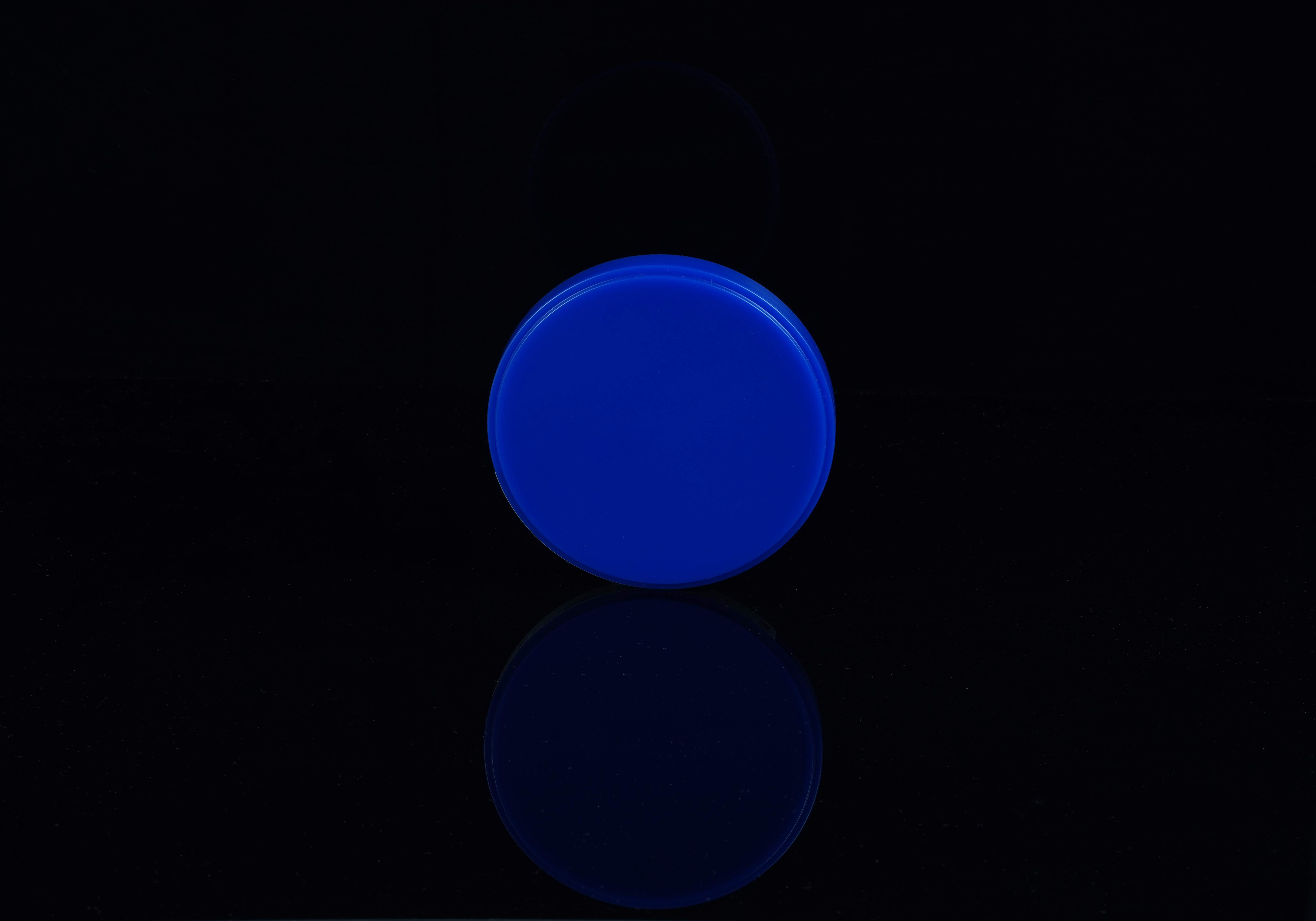 TA-WAX-Blank TA-WAX-Blank